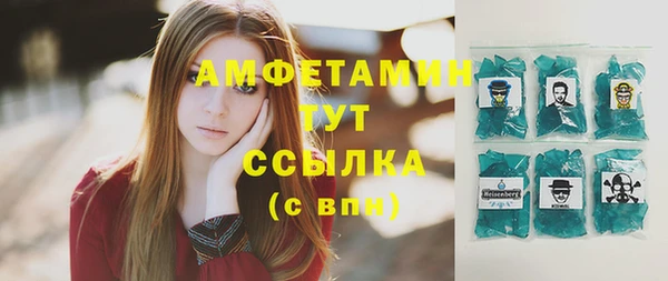соль ск Ельня