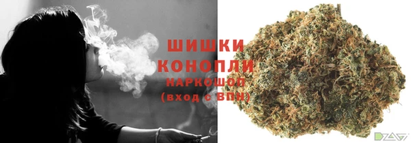 соль ск Ельня