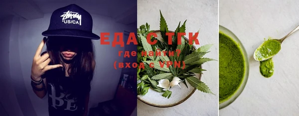 соль ск Ельня