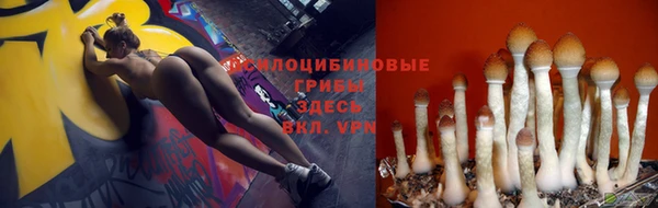 круглые Елизово