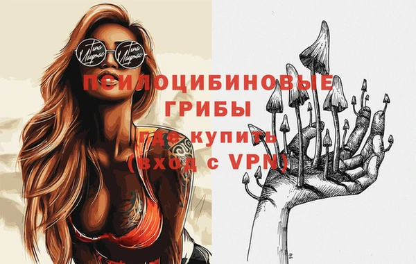 соль ск Ельня