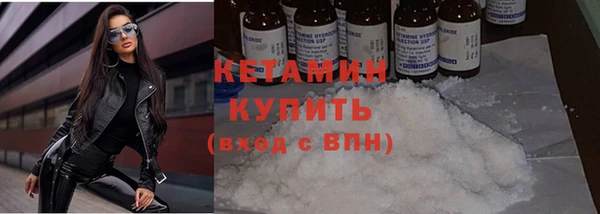 соль ск Ельня