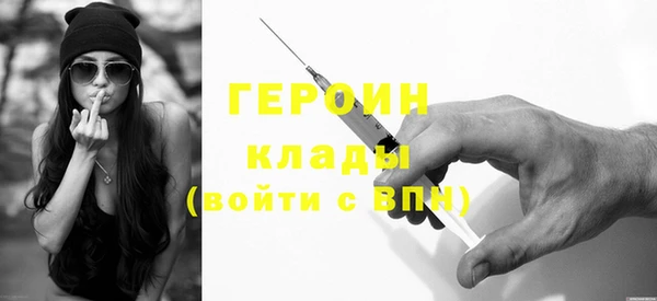 соль ск Ельня
