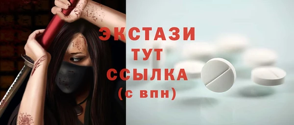 соль ск Ельня
