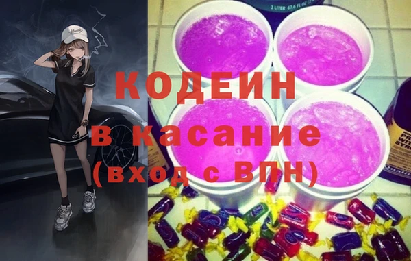соль ск Ельня