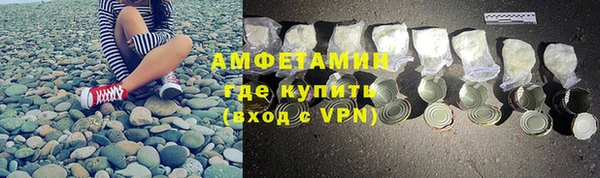 соль ск Ельня