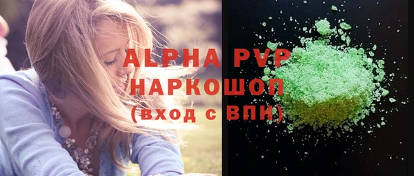соль ск Ельня