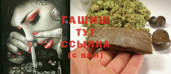 соль ск Ельня