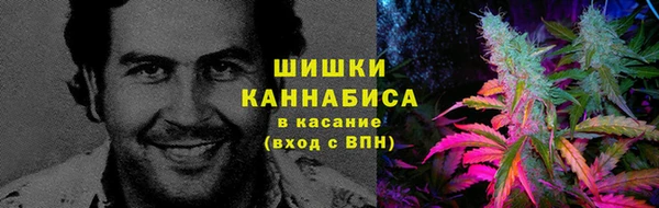 соль ск Ельня