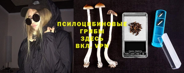 прущие крисы Елабуга