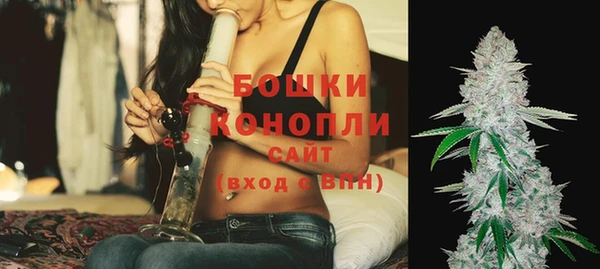 прущие крисы Елабуга