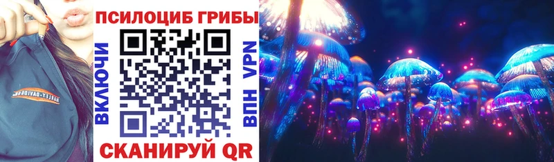 Псилоцибиновые грибы прущие грибы  Купить закладки  Новоржев 